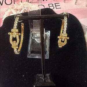 Elegant Gold and Silver Hoop Earrings